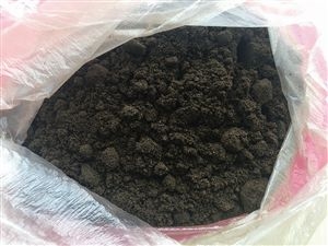男子吃偏方“黑发膏”铅中毒 医生:排毒需20年