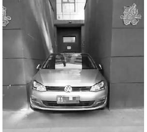 哈尔滨现霸气停车：女子从天窗爬出从后备箱进